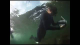 Snorkeling on Fairlight Beach Manly Sydney NSW Australia [upl. by Burns269]