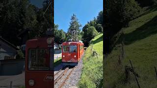 APPENZELLER BAHNEN Zug der Zahnradbahn RheineckWalzenhausen treno a cremagliera train tren [upl. by Huppert]