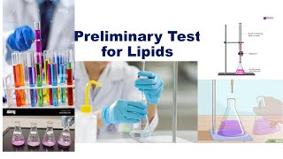 Preliminary Test for Lipids [upl. by Laynad964]