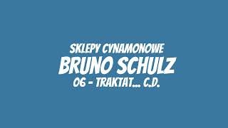 Bruno Schulz  Sklepy cynamonowe  06  Traktat cd [upl. by Godden]