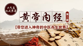 《黄帝内经》中的“气”到底指的是什么？人为什么会生病呢？从古典医药经典中，找寻解决现代人健康问题的中华医方《黄帝内经 第二部》六气篇之风寒暑  CCTV百家讲坛官方频道 [upl. by Croix]