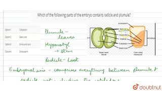 Which of the following parts of the embryo contains radicle and plumule [upl. by Zeph]