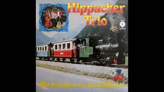 Hippacher Trio  SteinschlagPolka [upl. by Esemaj812]