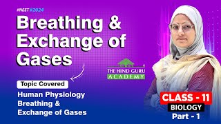 Biology Class 11 Breathing amp Exchange of Gases  Part 1 neet 2024 [upl. by Notgnirrab744]