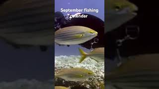 September fishing calendar the best days to go fishing fishing by the moon cycle fishing [upl. by Neelloc]