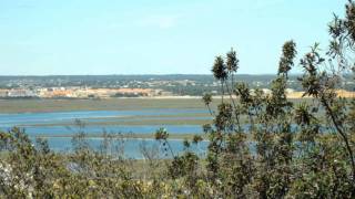 El Niño Miguel  Brisas de Huelva [upl. by Ahsiugal]