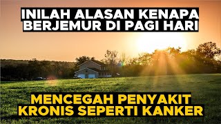 Berjemur Di Pagi Hari Dapat Mencegah Penyakit Kronis Seperti Kanker [upl. by Aslehc]