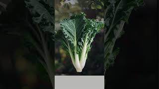 Plant Facts  Kale Brassica oleracea var sabellica [upl. by Turpin]