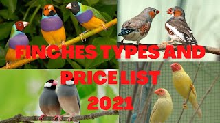 Finches Types And Price in India Kerala  Finches Variety  Finches Rate Kerala [upl. by Kristian75]