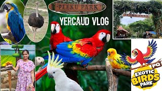 travel to yeacaud hill station with family Birds park amp Pet farm at Peeku Park Yercaud [upl. by Julietta707]