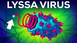 The Deadliest Virus on Earth [upl. by Andriette423]