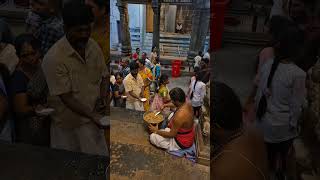 Prasadam 111024 Distribution Navarathri Golu Sri Natarajar Temple [upl. by Adair220]