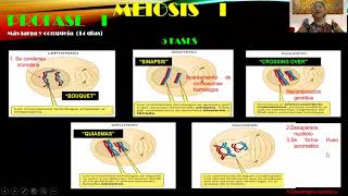 MEIOSIS  GAMETOGENESIS  Mg KAREN KELLY ENRIQUEZ SAAVEDRA [upl. by Aniretak]