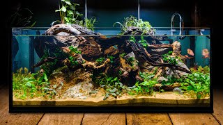 Perfecting the Low Tech Fish Tank in DIY IKEA Aquarium [upl. by Bak891]