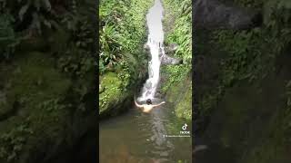 Nevis Waterfalls Hike with Island Buzz Tours Nevis [upl. by Letram699]