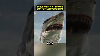 Encuentran un tiburón con tentáculos de pulpo 😱 shorts viral pelicula [upl. by Attalanta]