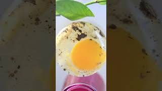 1 Minute Mayonnaise Recipe  Easy Spread and Dip to make at home [upl. by Diraj720]