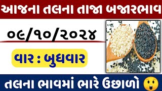 આજના તલના તાજા બજારભાવ  kapas na bhav Commodity Trend  information about coton crop prize [upl. by Iz]