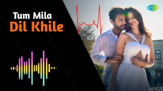 Tum Mila Dil Khile ringtone  Tum Mila Dil Khile song ringtone  Stebin Ben [upl. by Elery279]