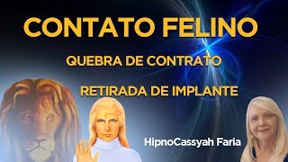 HIPNOSE REGRESSIVA COM CONTATOS EXTRAFÍSICOS  CONTATO FELINO 112 cassyahfaria [upl. by Aisilef]