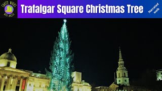 Trafalgar Square Christmas tree arrives from Norway [upl. by Llerrut]