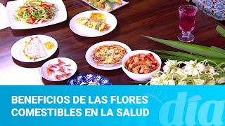 Beneficios de las flores comestibles en la salud [upl. by Seraphim]