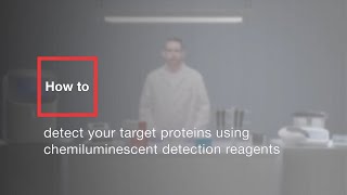 How to detect your target proteins using chemiluminescent detection reagents [upl. by Steddman775]