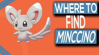 Where To Find Minccino In Pokemon Sword amp Shield [upl. by Sadnak635]