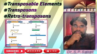 Transposable elementsTransposonsRetrotransposonseducation science viralvideotrending [upl. by Dercy]