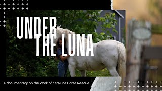 Under the Luna  Kataluna Horse Rescue Documentary [upl. by Netsreik543]