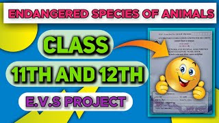 Endangered Species Of AnimalsEVS ProjectClass 11thFull Description [upl. by Mcfarland964]