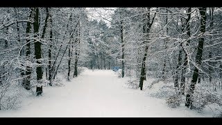 Snow day in England 2018  Shot on Mavic Air 4k [upl. by Melessa]