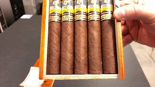 Cohiba Talismán EL2017 [upl. by Reinold]