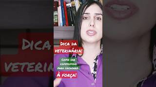 Remédio para cachorro sem estresse veterinaria shorts [upl. by Terina]