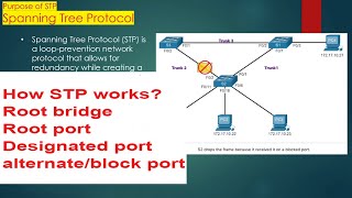 CCNA phase2 LAN Technologies  Spanningtree protocol STP [upl. by Lipcombe]