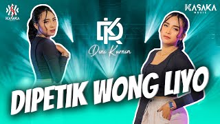 Dini Kurnia  Dipetik Wong Liyo  Official Music Video  Wis Wayah Ganti Musim [upl. by Illene]