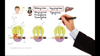 Pharmacology – ANTIBIOTICS – DNA RNA FOLIC ACID PROTEIN SYNTHESIS INHIBITORS MADE EASY [upl. by Nassir]