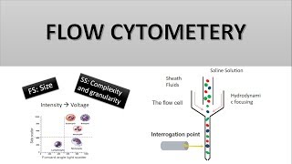 The Principle of Flow Cytometry and FACS 1 Flow Cytometry [upl. by Aicercal]