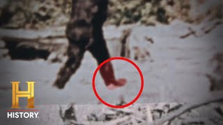 The Proof Is Out There REMARKABLE EVIDENCE of Bigfoots Footprint Season 2  Exclusive [upl. by Hertzfeld]