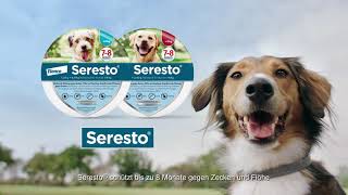 Seresto® – Halsband für Hunde [upl. by Jalbert674]