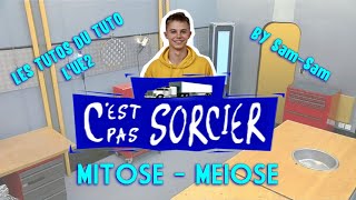 Les tutos du Tuto Méiose et mitose [upl. by Darsey]