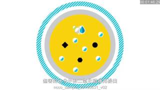 b Mola專利技術詳解 [upl. by Haceber]