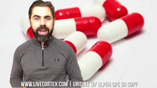 Uridine w Alpha GPC Or is CDP Better [upl. by Ailet]