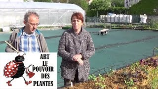 Jardinage Plantation du bac permaculture avec tonnerre dengrais engrais bioagroécologie potager [upl. by Carr]