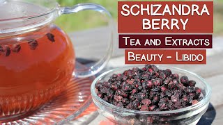 Schizandra Berry Tea and Extracts Renowned Beauty Herb and Sexual Tonic [upl. by Wadlinger]