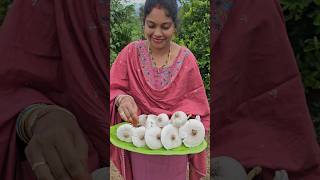 Mushrooms harvesting పుట్టగొడుగులు mushroom mygarden harvesting shortvideo gardening ytshorts [upl. by Amelita]