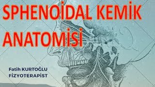 FTR  SPHENOİDAL KEMİK  Anatomi Konu Anlatımı11 [upl. by Navac]