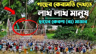 গাছের কেরামতি দেখতে লাখ লাখ মানুষ । ছায়েব কেবলা র মাজার শরীফ। ধর্মীয় স্থান [upl. by Ahaelam310]