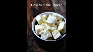 how to make paneer at home within 5 Minute [upl. by Brass650]