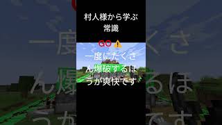 村人様から学ぶ常識Part5 マイクラ 村人 minecraft マインクラフト shorts 常識 [upl. by Arrakat761]